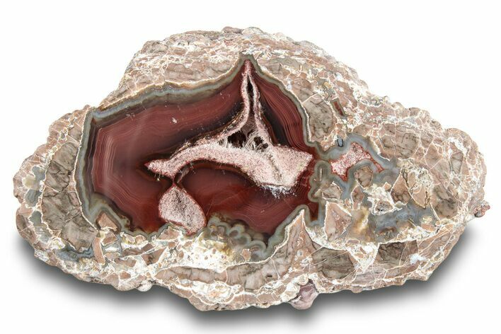 Polished Baker Ranch Thunderegg (Half) - New Mexico #245241